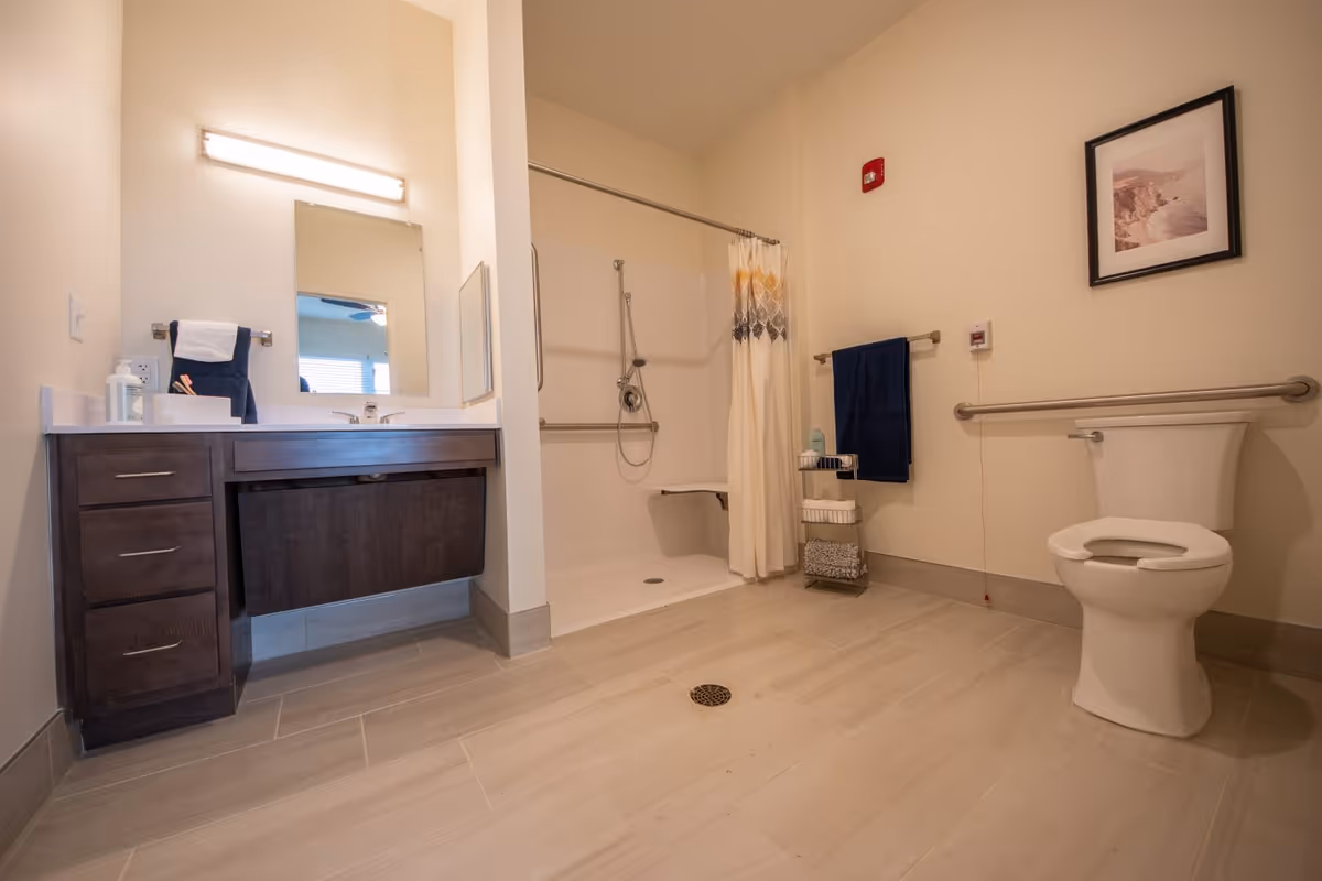 Accessible bathroom with a vanity, walk-in shower with curtain and seat, grab bars, and a toilet.