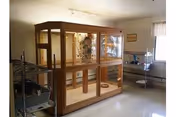 A well-lit room featuring a large wooden and glass enclosure in the center, possibly a bird or small animal habitat. The room has light-colored walls and floor, a window with sheer curtains on the right, and metal shelving units on both sides holding various items.