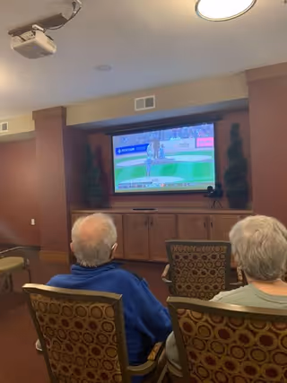 Two elderly individuals sitting in patterned chairs watching a baseball game on a large flat-screen TV mounted on a wooden cabinet in a cozy room with warm-colored walls and decorative plants on either side of the TV.