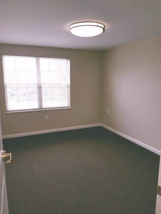 Empty room with beige walls, a window with blinds, green carpet, and a ceiling light fixture.
