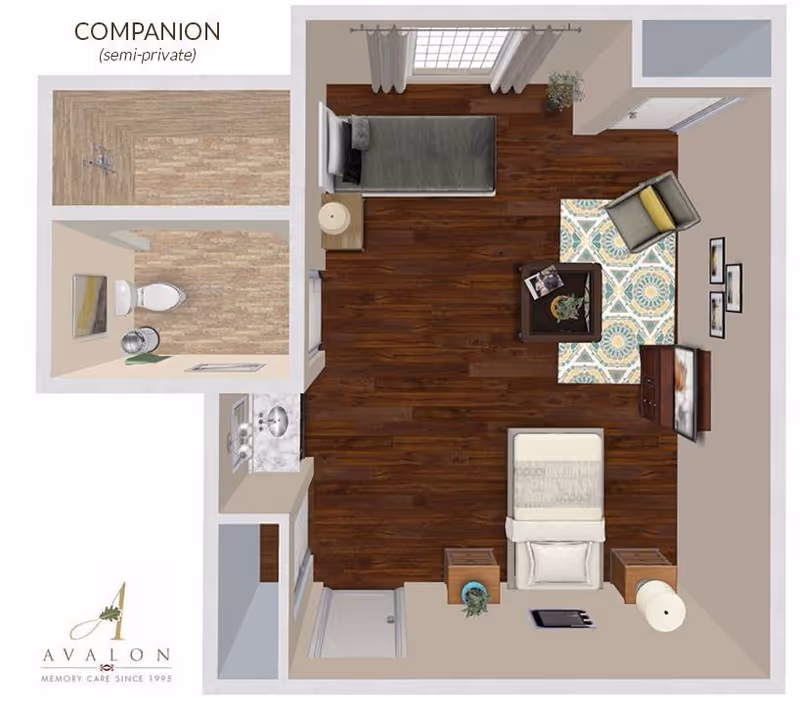 Top-down floor plan of a semi-private companion room at Avalon Memory Care, featuring two beds, a sitting area with a chair and coffee table on a patterned rug, a dresser with a TV, a bathroom with a toilet and shower, and a sink area. The room has wood flooring and windows with curtains.