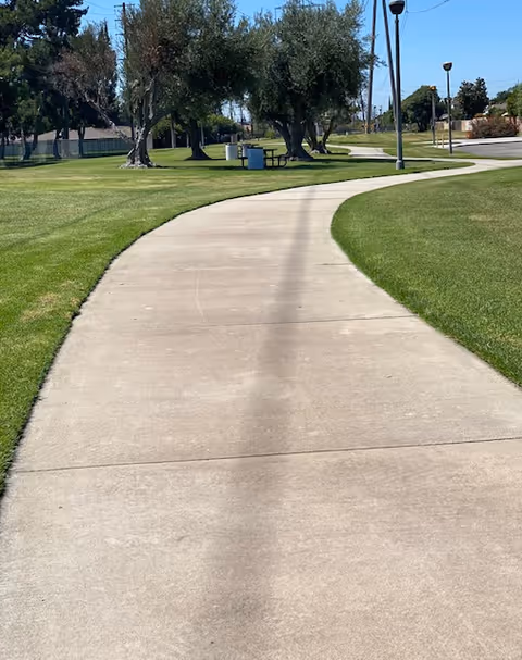 A curved concrete pathway runs through a grassy park area with several trees, a picnic table, and trash bins visible. There are street lamps along the path and a clear blue sky overhead.