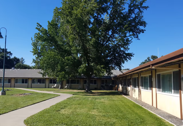 Outdoor view of a senior living facility courtyard with a large tree in the center, surrounded by a well-maintained lawn and a concrete walkway. Single-story buildings with windows and a brown roof border the courtyard under a clear blue sky.