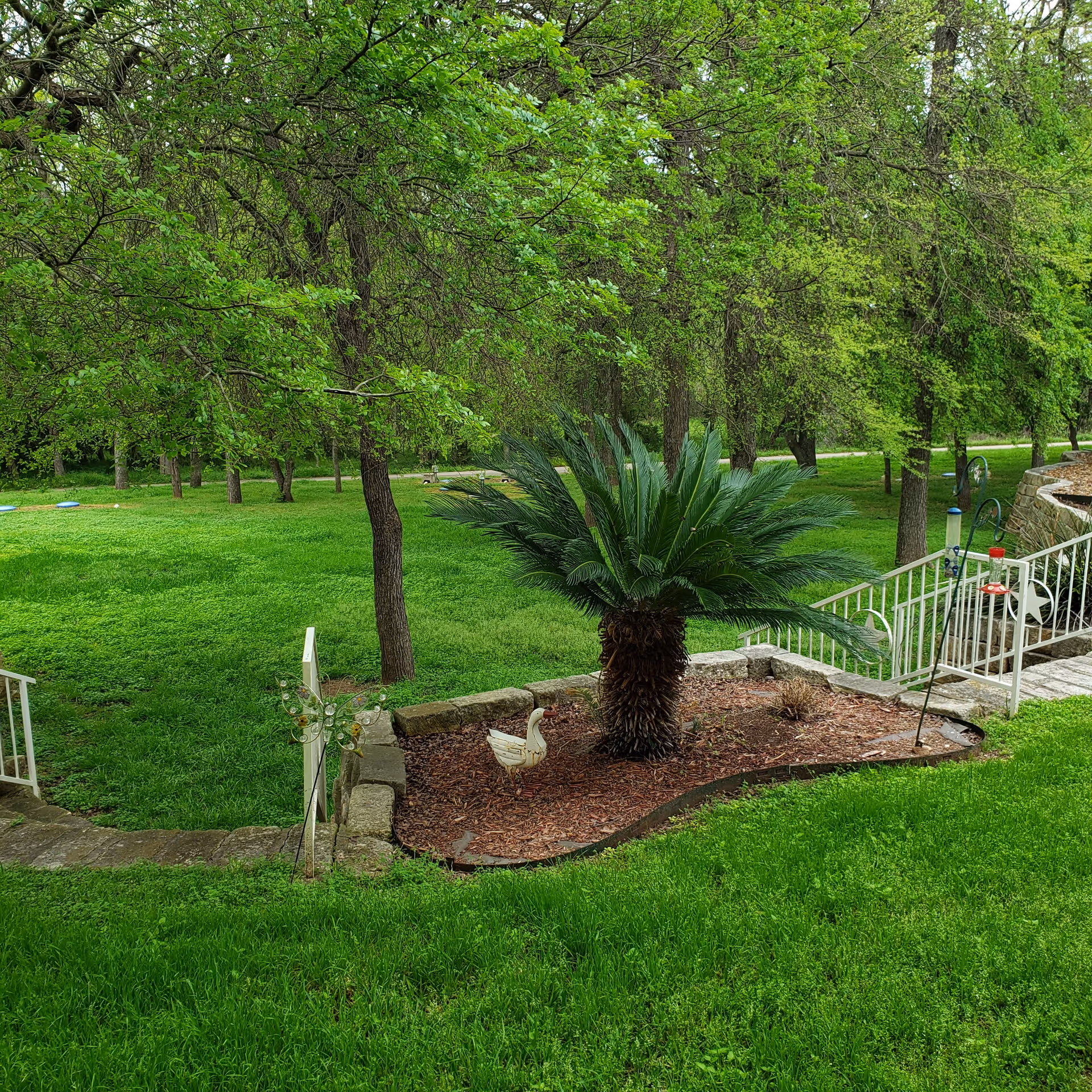 A lush green outdoor garden area with a small landscaped section containing a palm-like plant and a decorative white duck statue. Surrounding the garden are trees with fresh green leaves, a stone pathway, and white metal railings with bird feeders attached.