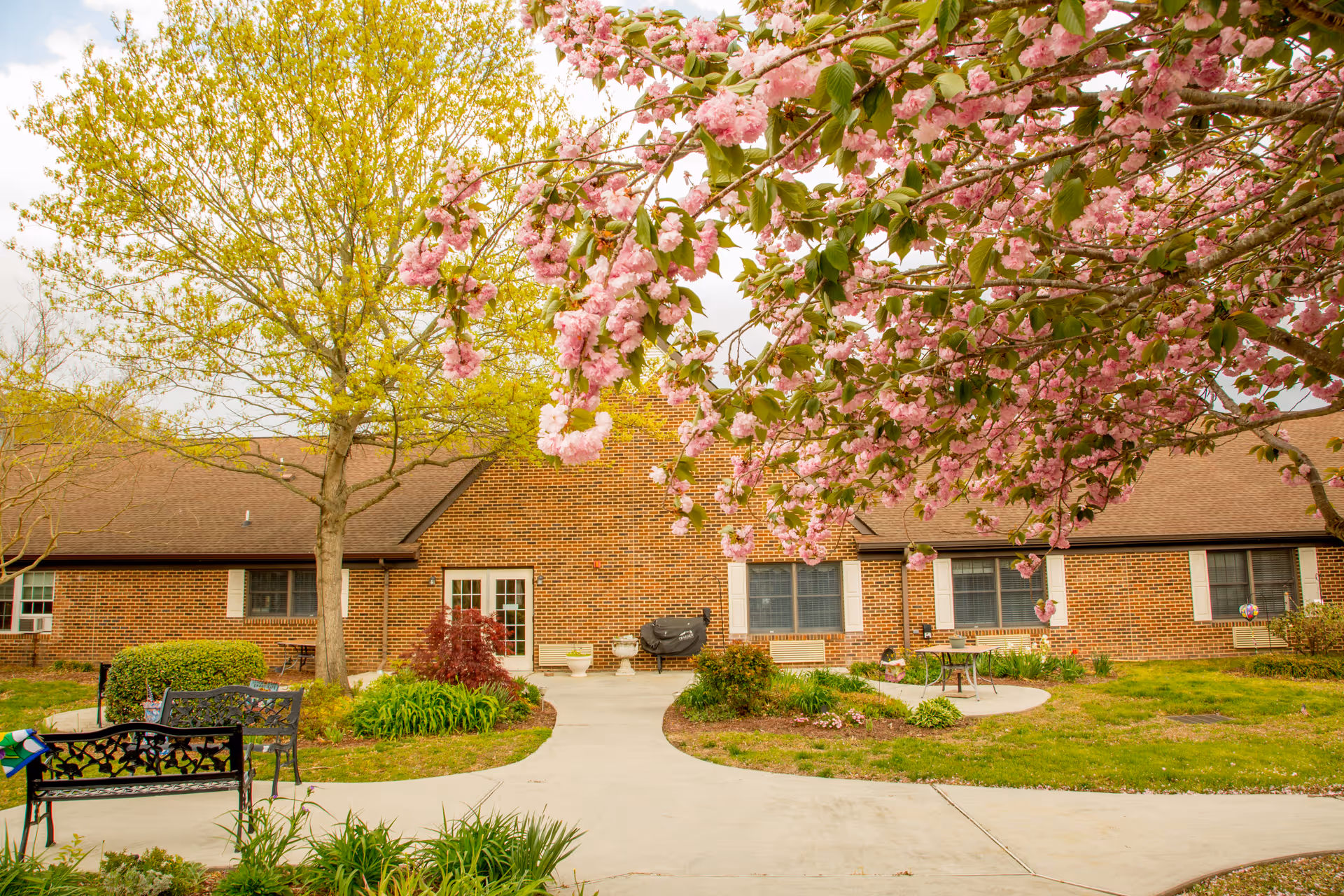 Outdoor courtyard area of a brick building with blooming pink cherry blossom trees and green leafy trees. There are benches, a grill, and a small table with chairs on a concrete pathway surrounded by grass and garden beds.