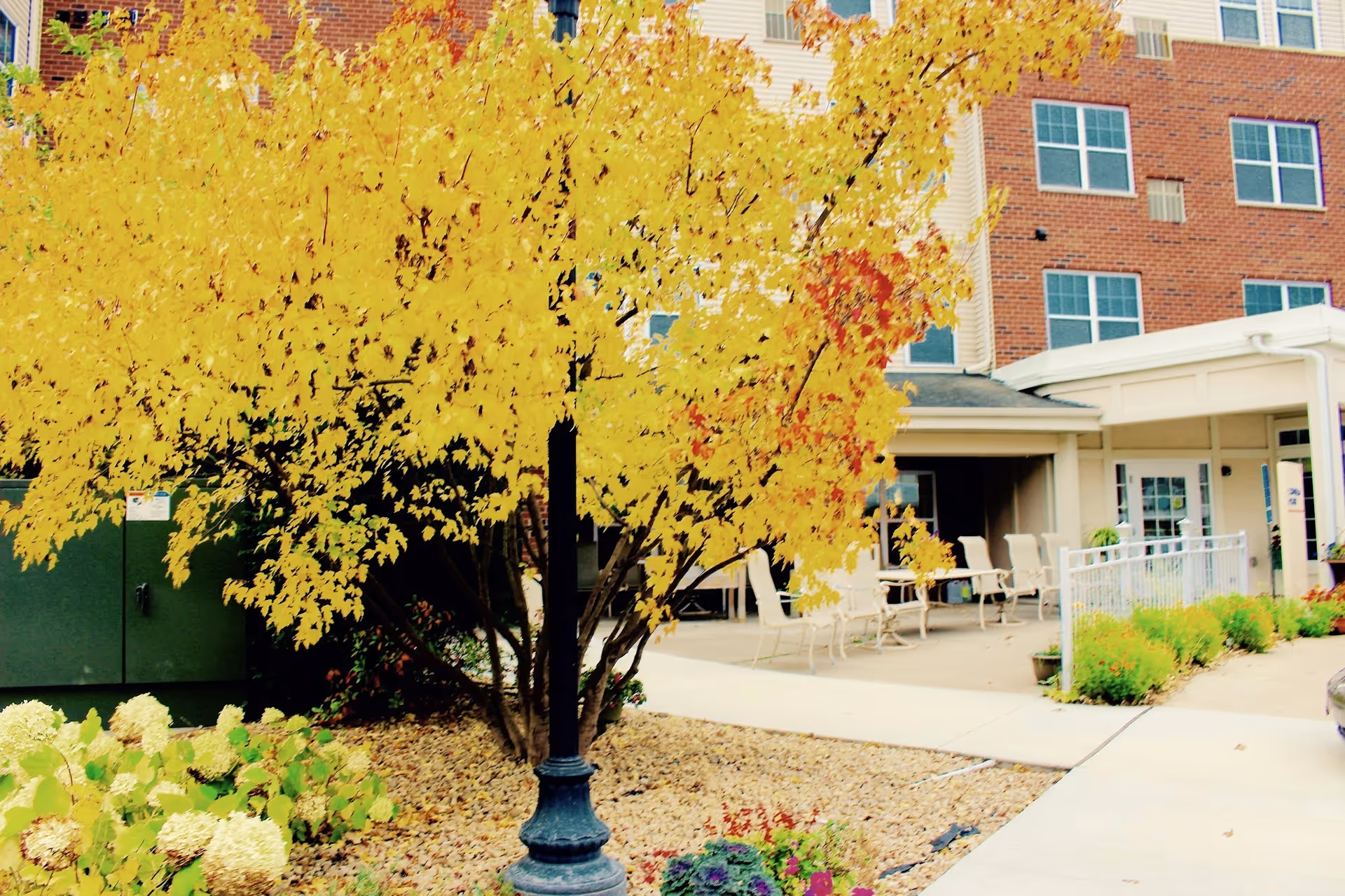 Outdoor patio area at Episcopal Homes of Minnesota with yellow autumn trees, a black lamppost, beige chairs and tables, and a brick building in the background.