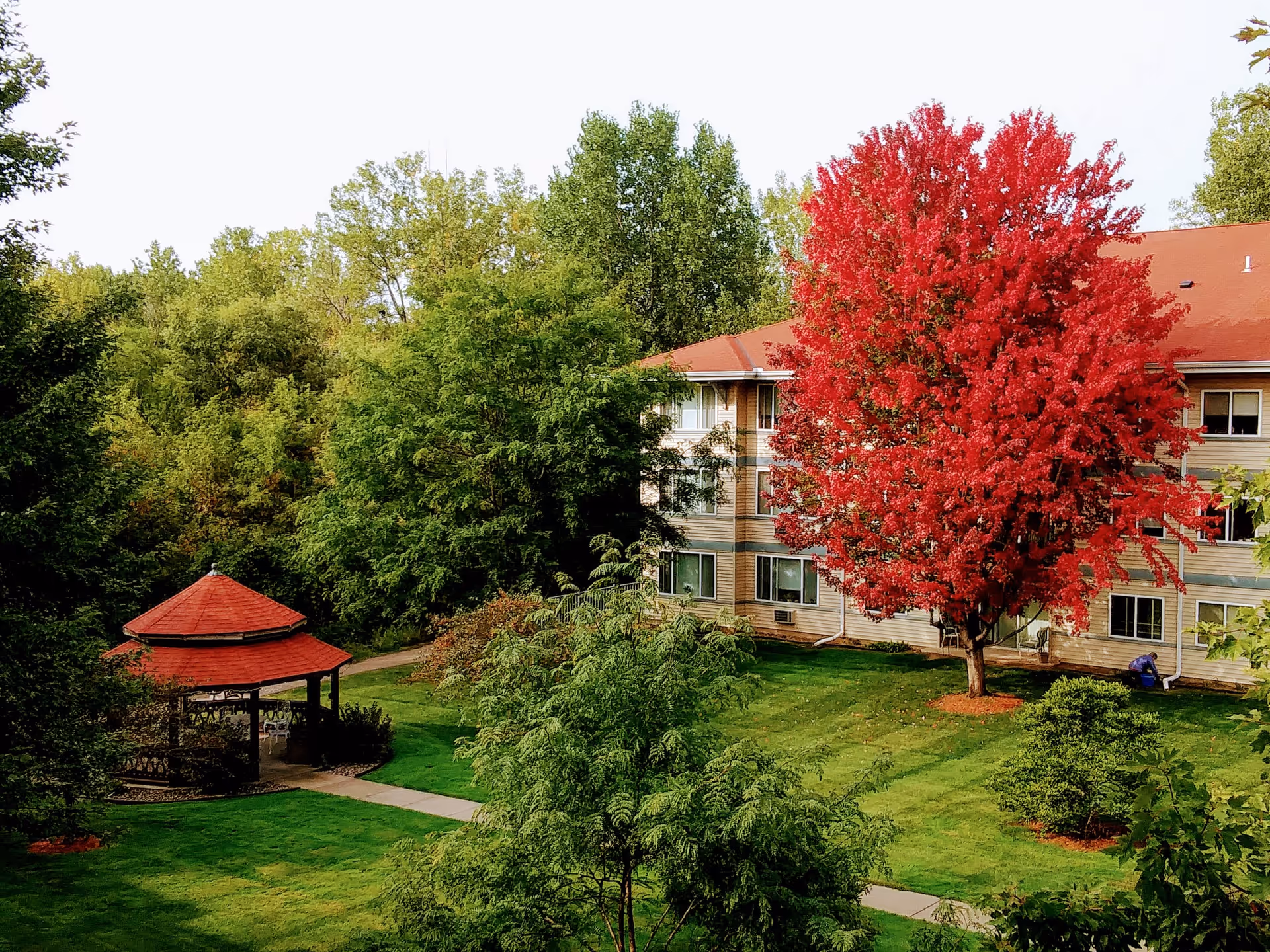 Outdoor view of a senior living facility with a large red-leafed tree, green grass, a gazebo with a red roof, and a multi-story building in the background surrounded by other green trees.