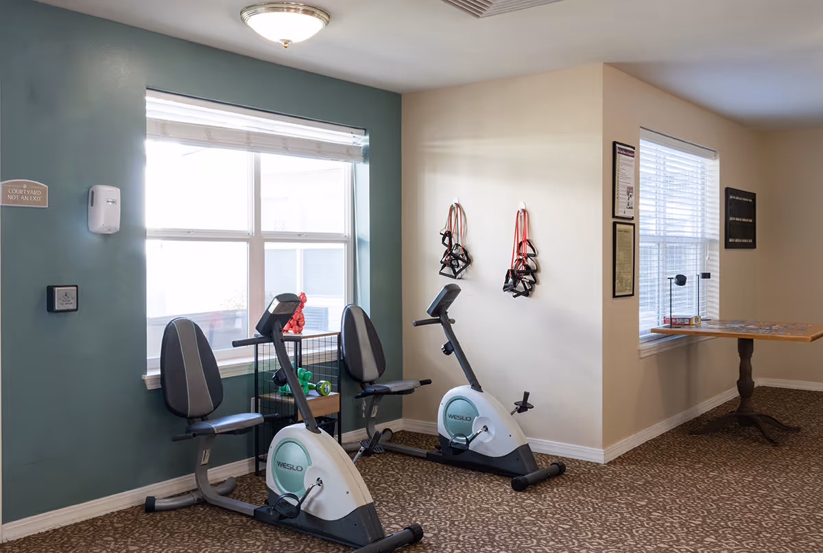 A small exercise room with two stationary recumbent bikes positioned in front of a window. Resistance bands hang on the wall, and a small table with a lamp and some items is placed near another window. The room has carpeted flooring and light-colored walls with one wall painted green.