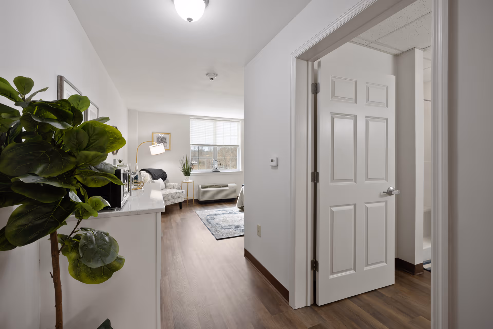 Hallway into a bright studio apartment showing a plant, sideboard, open bathroom door, and a seating area by a window.