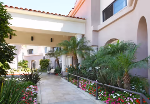 Photo 12 of Palm Court