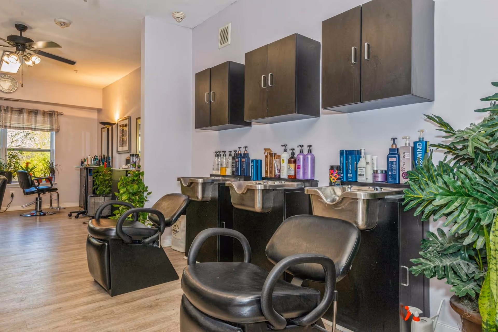 Interior of a hair salon area with black salon chairs and wash basins. There are shelves with hair care products above the basins and plants placed around the room. In the background, there are more salon chairs and a window with curtains letting in natural light.