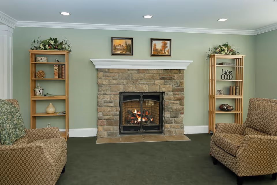 A cozy living room with a stone fireplace in the center, two patterned armchairs on either side, wooden shelves with decorative items and plants, and two framed landscape paintings above the fireplace. The walls are painted light green and the carpet is dark green.