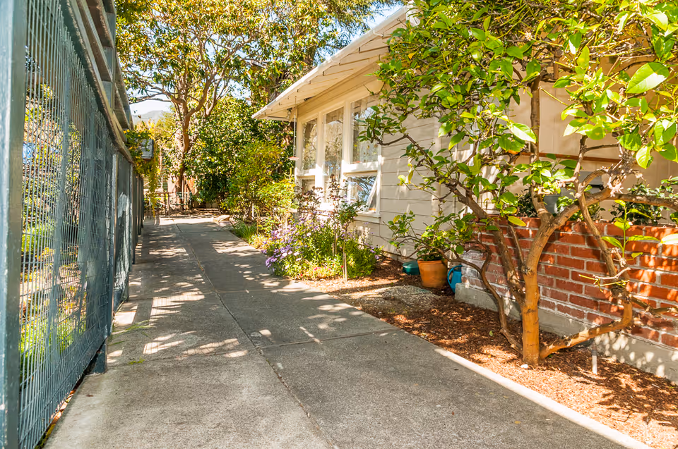 Sunlit concrete walkway beside a fenced garden and the side of a house with windows and plants.