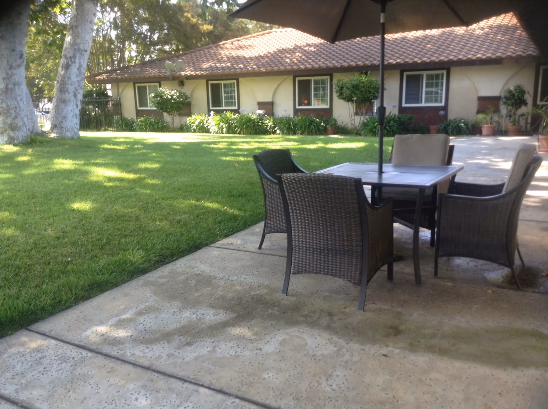 Outdoor patio area with a table and four wicker chairs under a large umbrella, adjacent to a grassy lawn and a single-story building with a tiled roof and several windows surrounded by plants and trees.