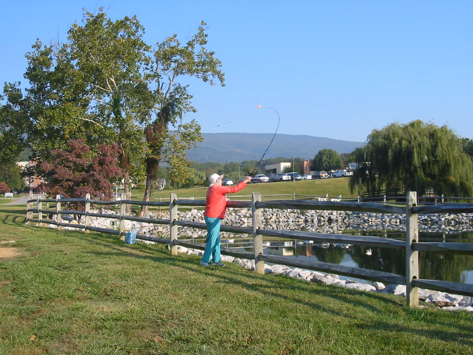 An elderly person wearing a red jacket and teal pants is fishing by a wooden fence next to a pond. There are trees, a grassy area, and a parking lot with cars in the background under a clear blue sky.