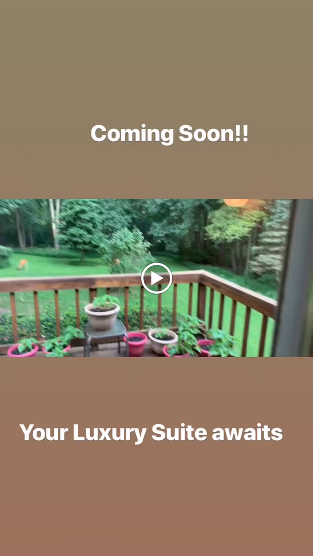 Wooden deck railing with potted plants overlooking a green lawn and trees, overlaid with the text 'Coming Soon!!' and 'Your Luxury Suite awaits'.