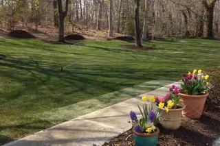 A grassy lawn with colorful potted flowers along a concrete path outdoors.