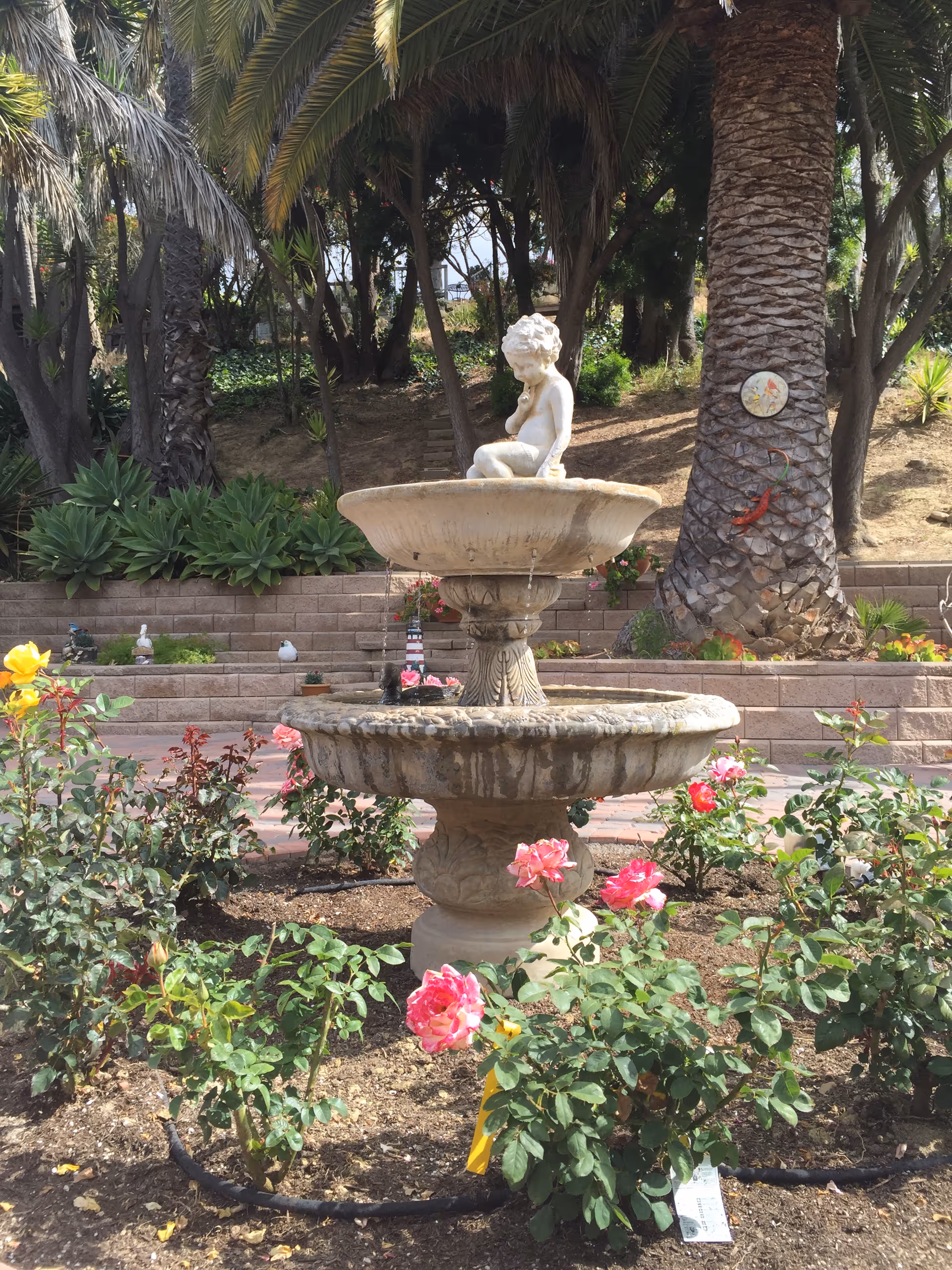 Stone tiered fountain topped by a child statue surrounded by blooming roses and palm trees in a garden.