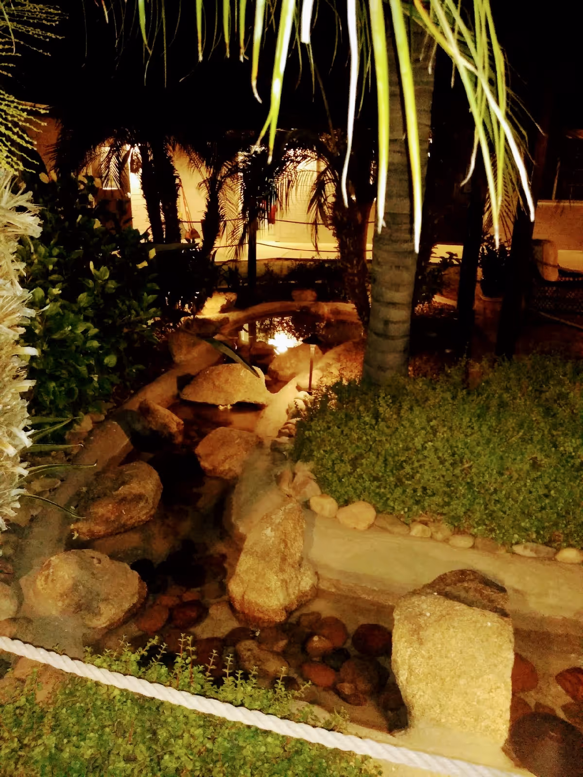 Nighttime view of a landscaped garden area with a small stream flowing over rocks, surrounded by palm trees and various green plants, softly illuminated by warm lights.