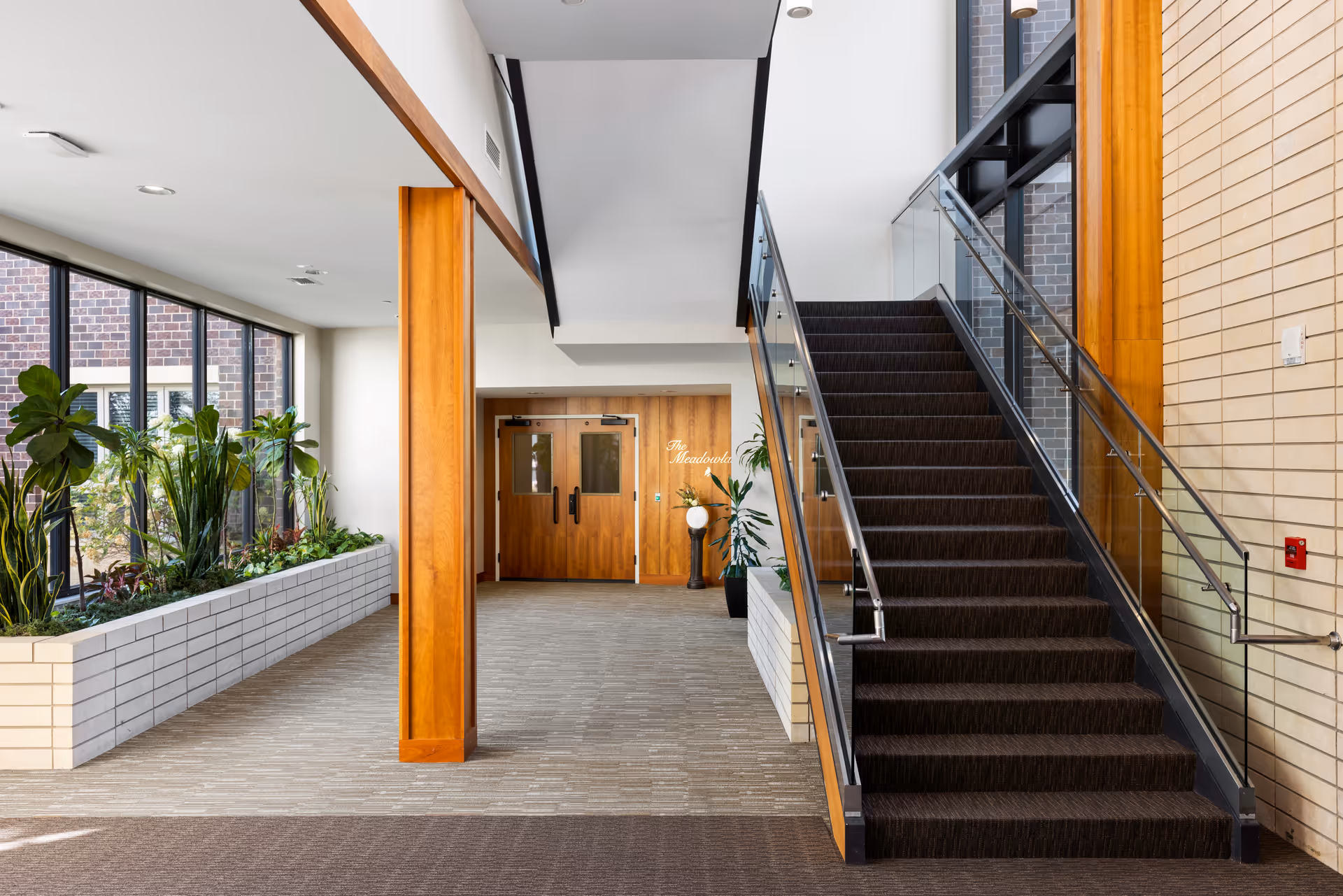 Interior view of a senior living facility hallway with a staircase on the right side featuring glass and metal railings. To the left, there is a large planter with various green plants next to tall windows letting in natural light. At the end of the hallway, there are double wooden doors with a sign that reads 'The Meadows'. The walls are light-colored with wooden accents and a beige carpet covers the floor.