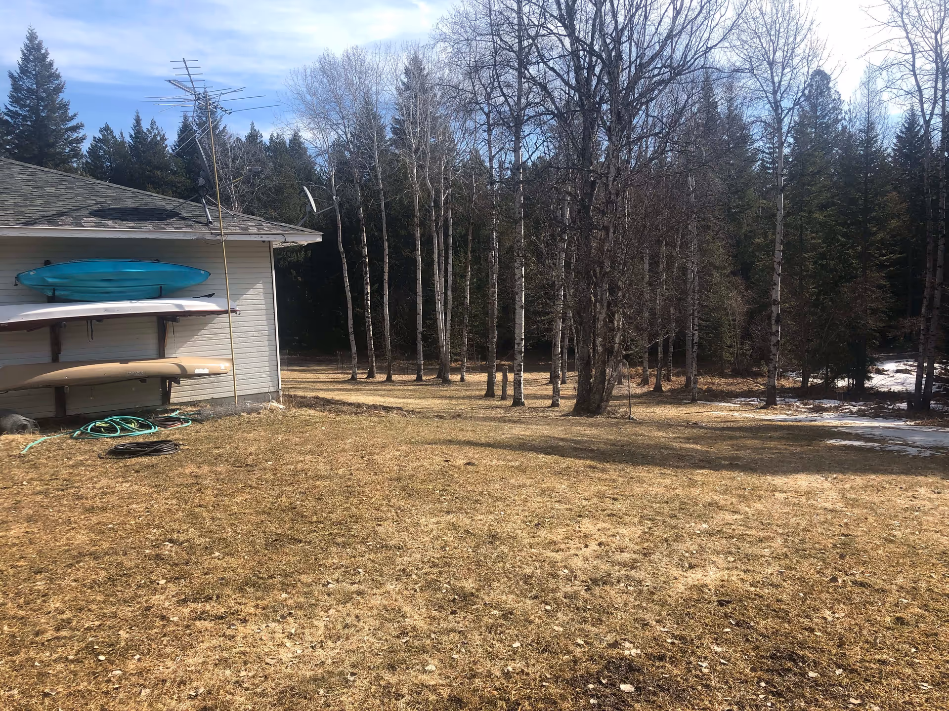 Outdoor scene showing a grassy yard with some patches of snow, a small building on the left side with three kayaks or canoes mounted on its wall, and a forest of tall trees in the background under a partly cloudy sky.