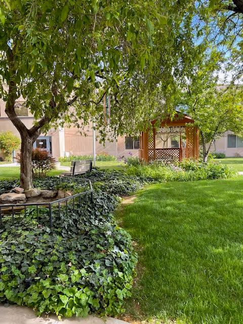 A lush outdoor garden area with green grass, leafy trees, and a wooden gazebo. There is a bench near a tree surrounded by ivy-covered ground. The background shows part of a building with windows.