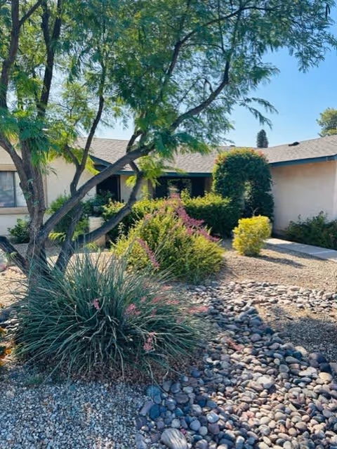 Single-story building entrance with desert landscaping, trees, shrubs, and a rock-lined dry riverbed in the front yard.