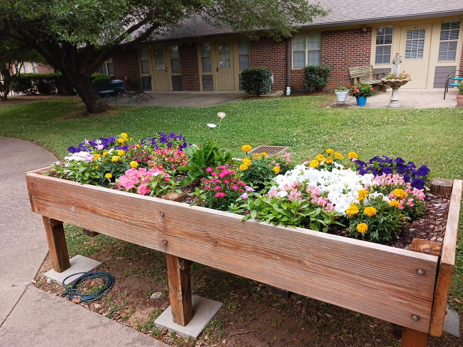 Raised wooden planter filled with colorful flowers on a grassy courtyard in front of a brick building.