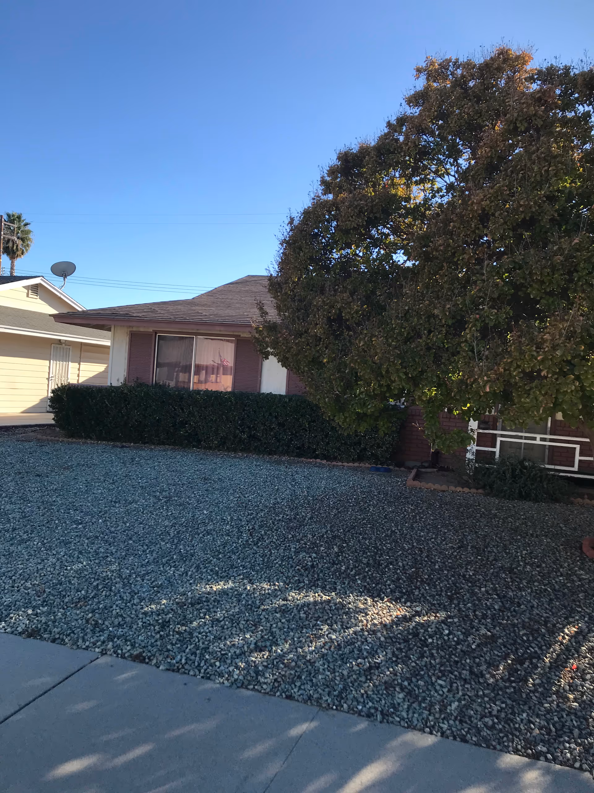Front view of a single-story house with a large tree and bushes in front. The yard is covered with gravel and there is a concrete sidewalk in the foreground. The sky is clear and blue.