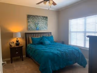A bedroom with a teal comforter on a wooden bed frame, matching teal pillows, a nightstand with a lamp and decorative items, a ceiling fan, a large window with blinds, and a framed peacock artwork on the wall.