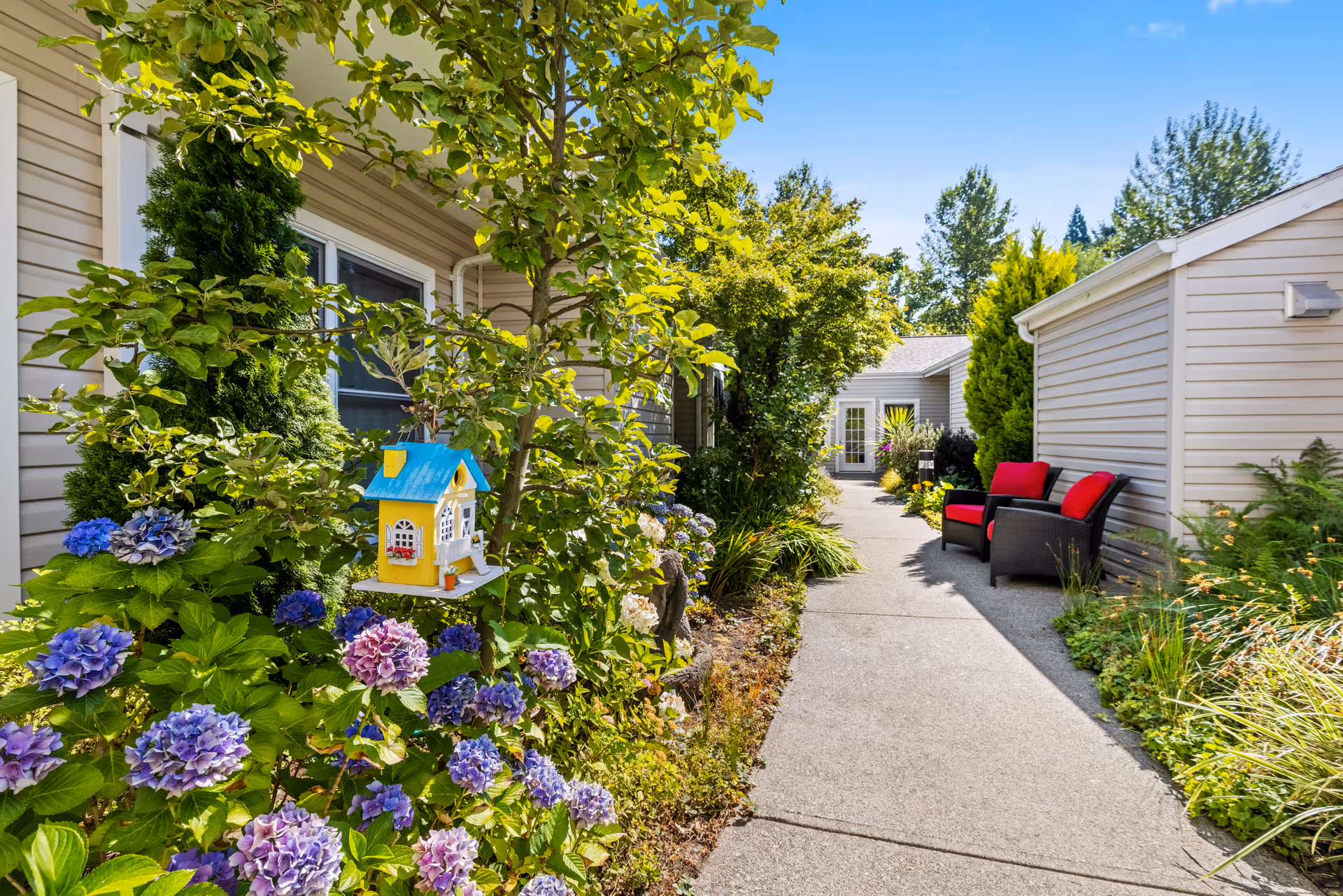 A sunny outdoor pathway at Aegis Living Kent lined with green plants and purple flowers. A small decorative birdhouse is hanging on a tree to the left. Two black chairs with red cushions are placed on the right side along the building. Trees and shrubs surround the area under a clear blue sky.