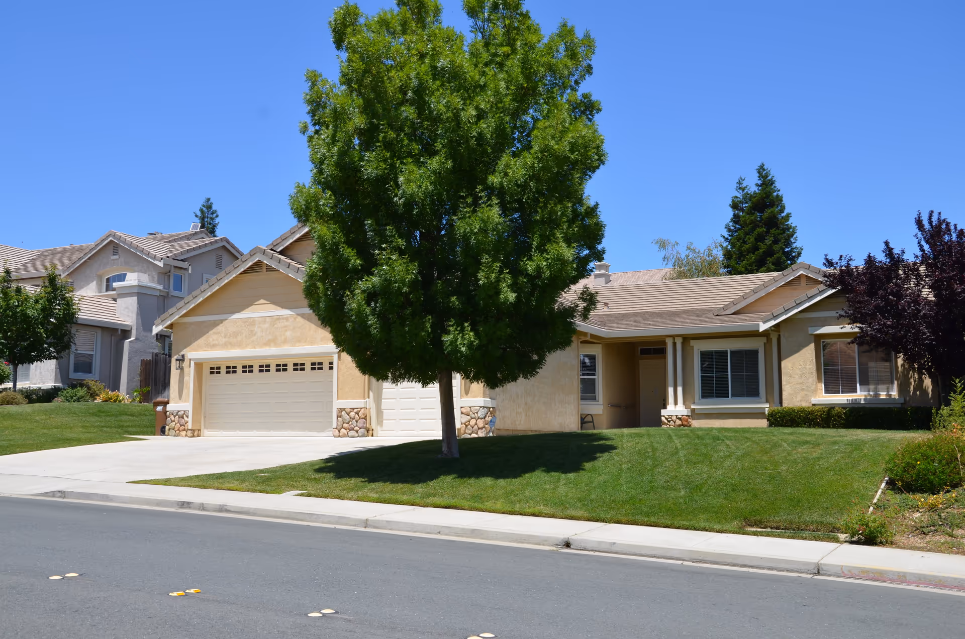 Front exterior view of a single-story residential building with a beige facade, a two-car garage, a large green tree in the front yard, and a well-maintained lawn under a clear blue sky.