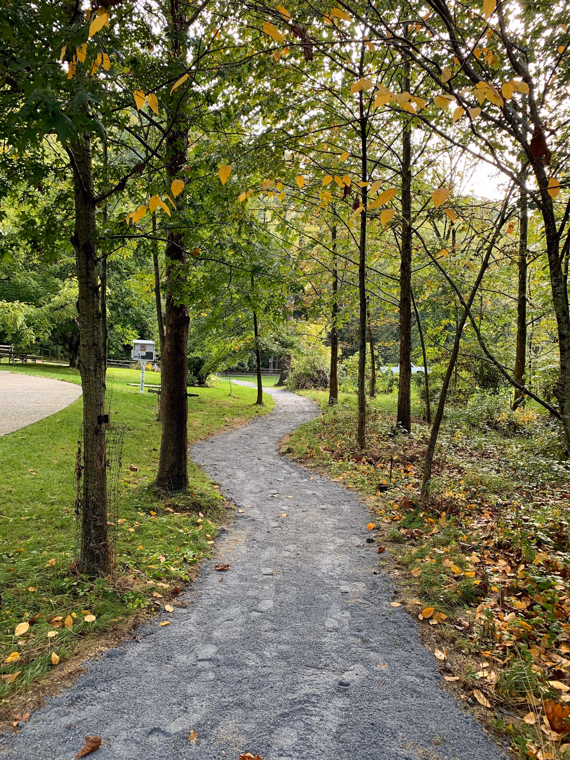 A gravel walking path winding through trees and green foliage in a park-like outdoor setting.
