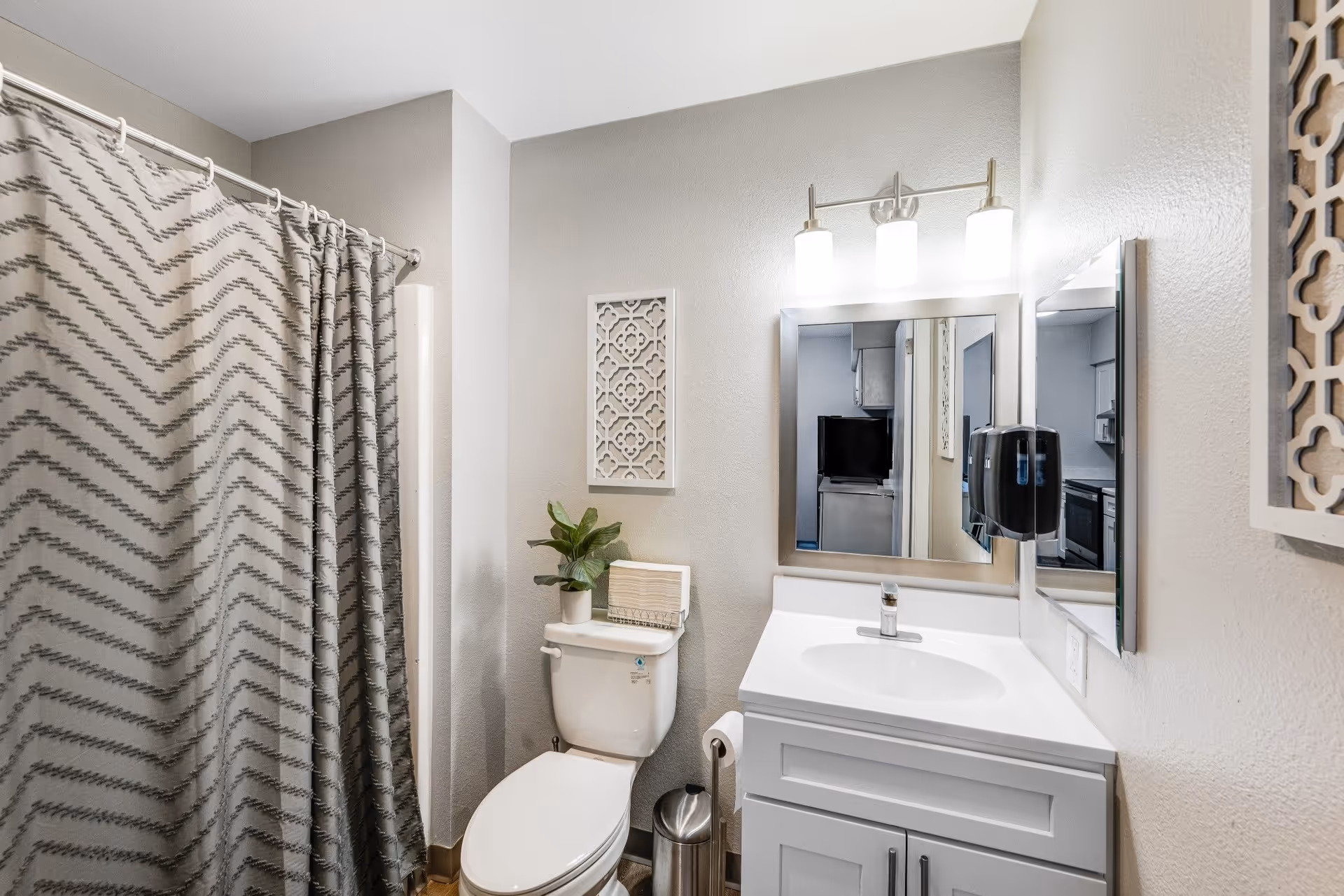 Bathroom with a shower curtain, toilet topped by a potted plant, and a vanity with mirror and overhead lights.