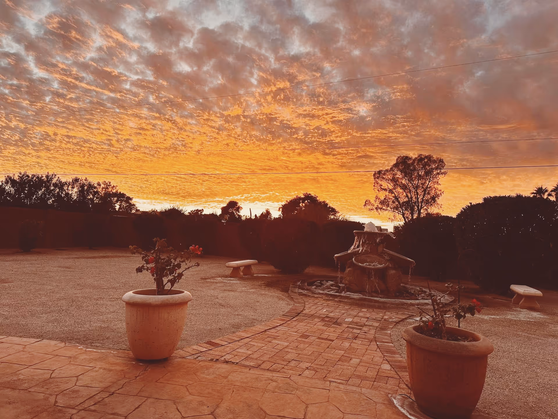 Outdoor garden area at sunset with a stone pathway, two large potted plants with flowers, a water fountain, benches, and trees silhouetted against a vibrant orange and yellow sky with scattered clouds.