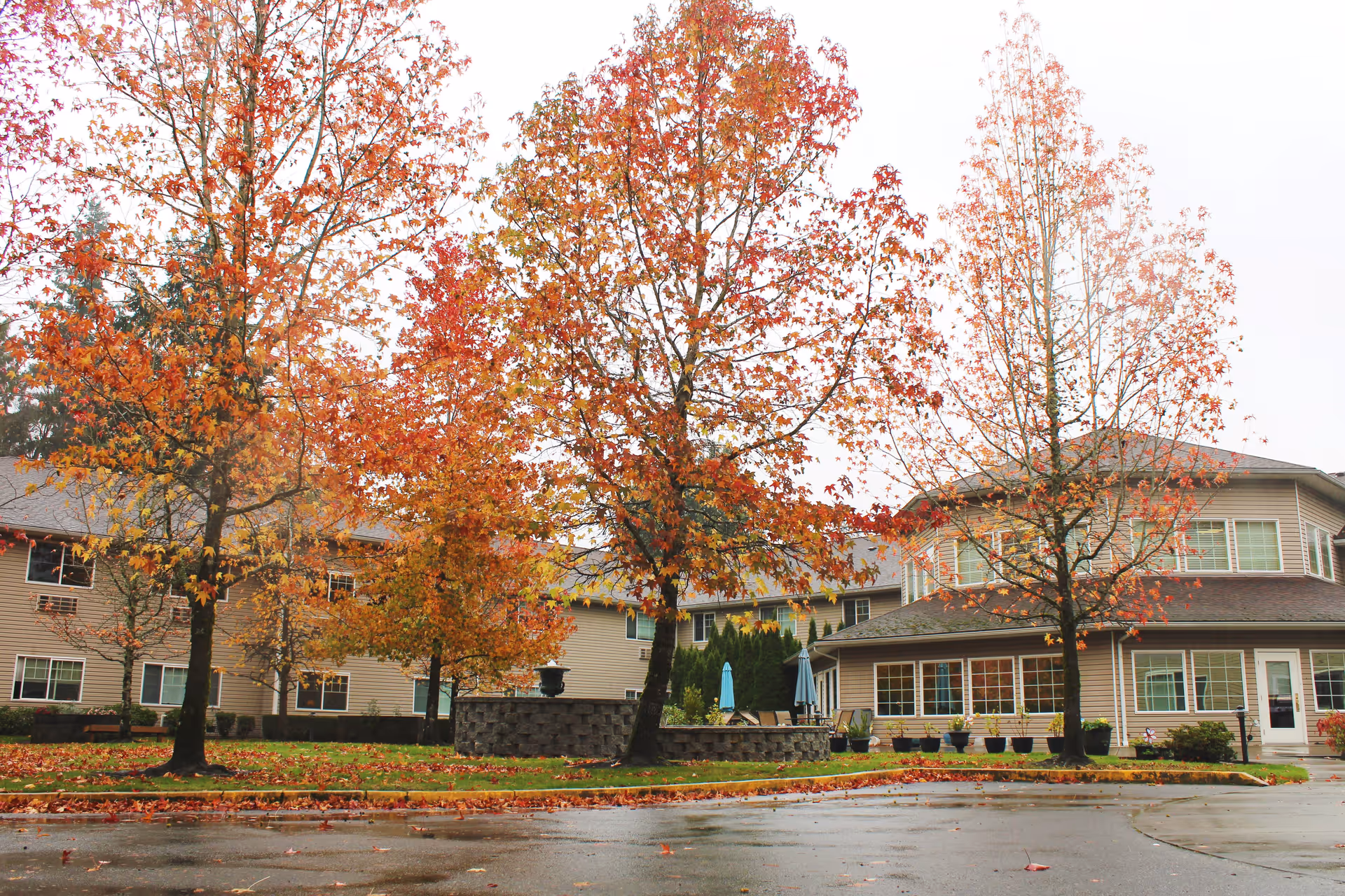 Exterior view of Normandy Park Senior Living facility with autumn trees displaying orange and red leaves in front of the building. The building has multiple windows and a patio area with umbrellas and chairs. The ground is wet, indicating recent rain.