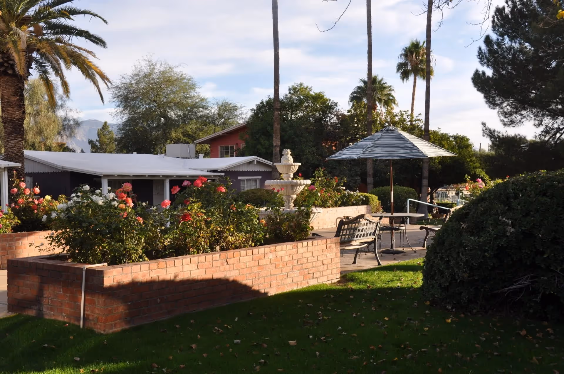 Outdoor garden area with a brick raised flower bed filled with blooming roses, a white tiered fountain, patio tables with umbrellas, benches, and palm trees under a partly cloudy sky.