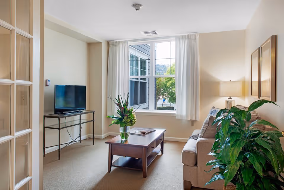 A bright living room with a large window covered by white curtains, a beige sofa with cushions, a wooden coffee table with a vase of flowers, a table lamp on a side table, two framed pictures on the wall, a flat-screen TV on a metal stand, and a large green plant in the corner.
