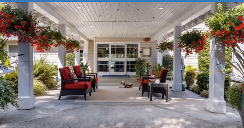 Covered outdoor seating area with red cushioned chairs and small tables, hanging flower baskets with red flowers, potted plants, and a small dog lying on the ground near the entrance door of a building.