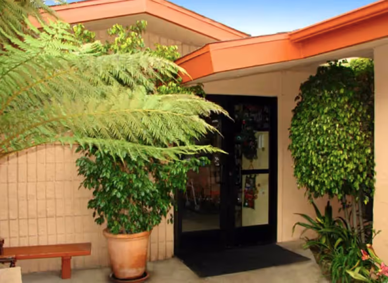 Entrance to a building with double glass doors framed by beige walls and an orange roof trim, surrounded by large green potted plants and a wooden bench on the left side.