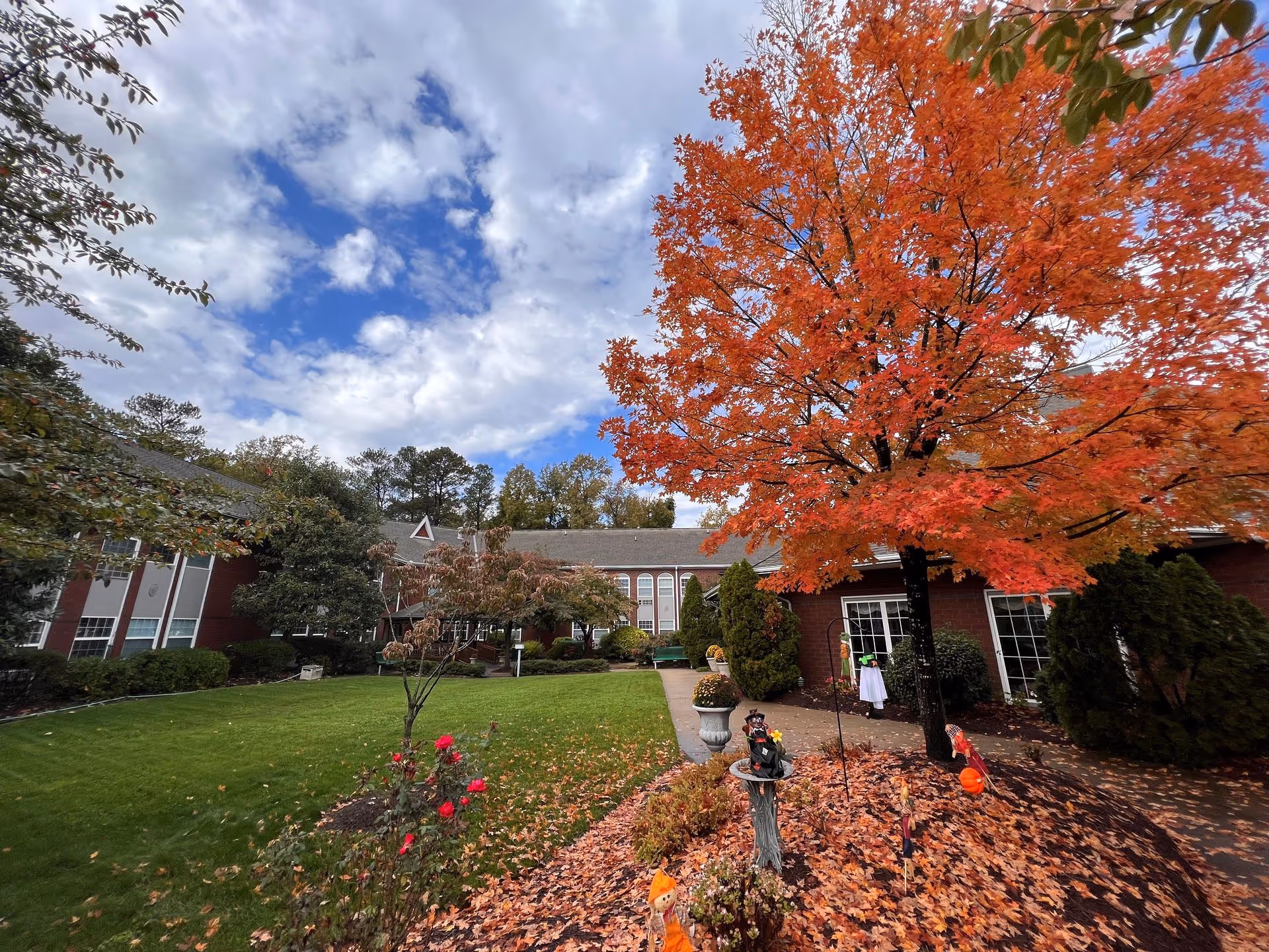 Outdoor courtyard area of Chestnut Grove Assisted Living featuring a large tree with vibrant orange autumn leaves, a well-maintained green lawn, bushes, and a brick building with multiple windows in the background under a partly cloudy sky.