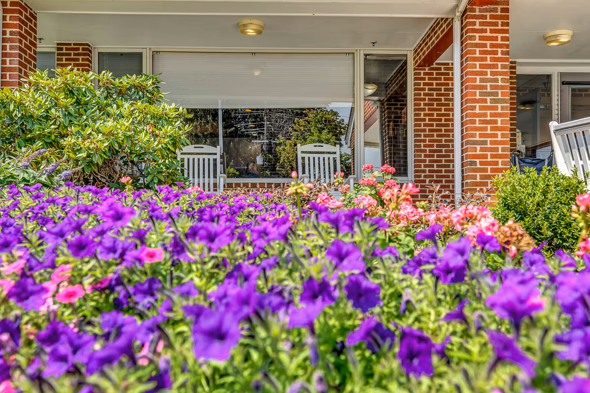 View of a garden with vibrant purple and pink flowers in front of a brick building porch with white rocking chairs and large windows.