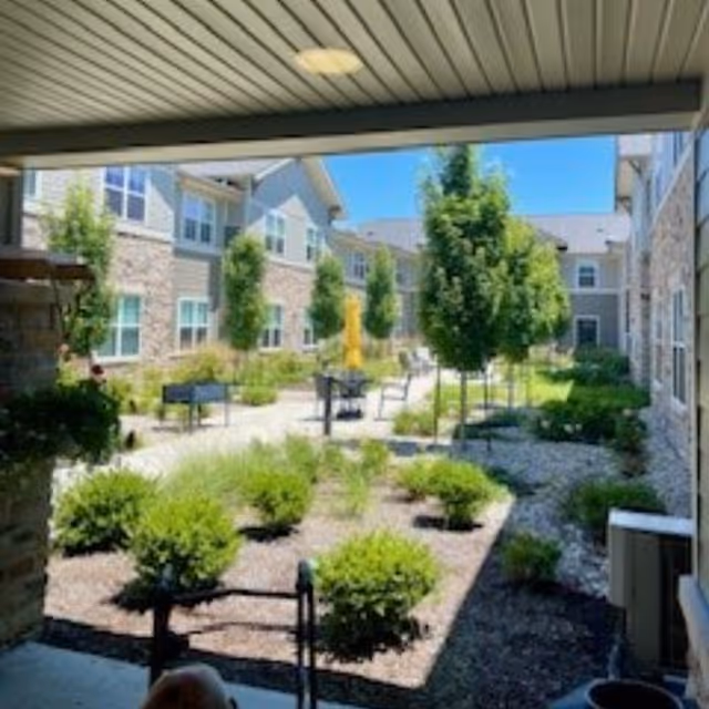 Sunlit courtyard with landscaped shrubs, walkways, benches and surrounding two-story senior living buildings seen from a covered patio.