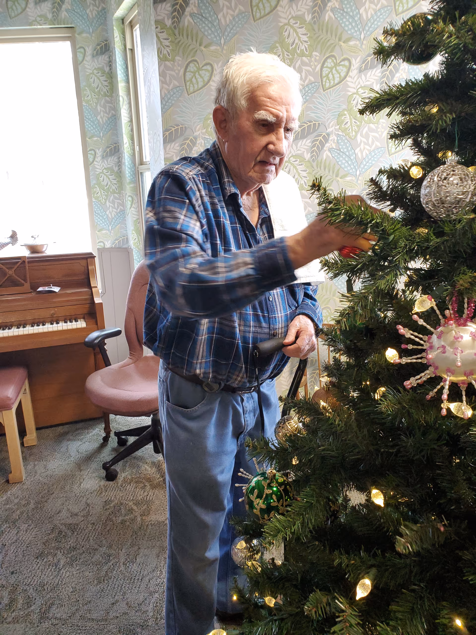 An elderly man wearing a blue plaid shirt and light blue pants is decorating a Christmas tree with ornaments in a room with patterned wallpaper. There is a piano, a pink office chair, and a window in the background.