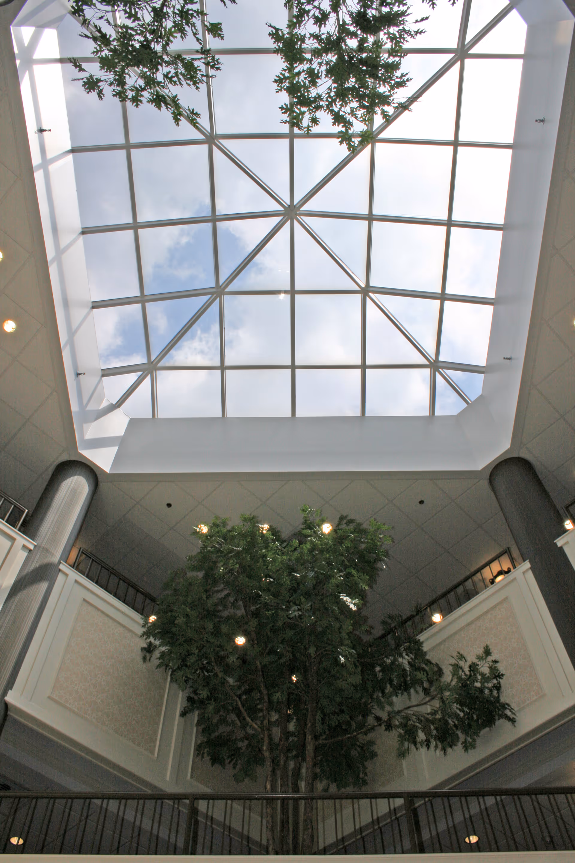 Interior view of a building atrium with a large tree in the center and a glass ceiling above, allowing natural light to come through. The ceiling has a grid pattern with a triangular design in the middle. The walls around the atrium have railings and decorative panels.
