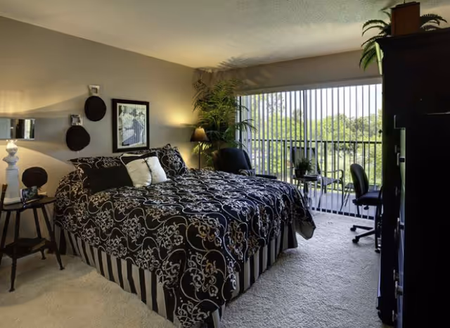 A bedroom with a large bed covered in a black and white patterned comforter and pillows. There is a nightstand with a lamp and a framed picture on the wall above the bed. A large window with vertical blinds lets in natural light and shows greenery outside. The room also has a chair, a small table, a tall plant, and a dark wooden dresser.