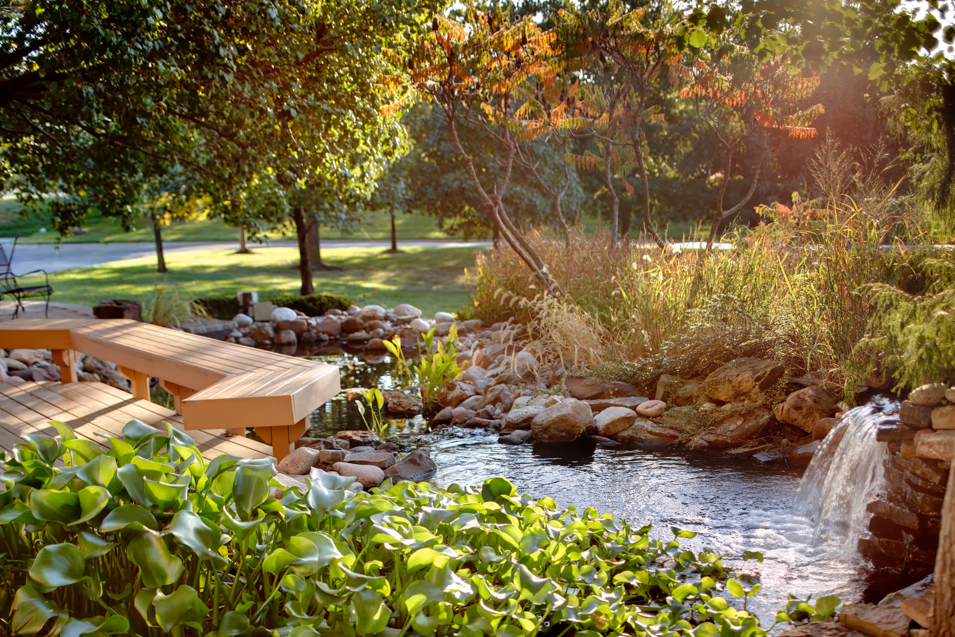 A serene outdoor garden area with a small pond surrounded by rocks and lush greenery. There is a wooden bench and a small waterfall flowing into the pond, with trees and grass in the background under sunlight.