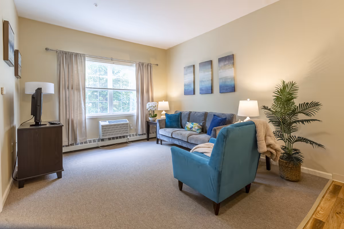 A cozy living room with a large window covered by beige curtains, a gray sofa with blue and patterned cushions, a blue armchair with a beige throw blanket, two side tables with lamps, a potted plant, and a TV on a dark wooden stand.
