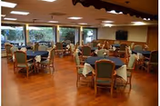 A dining room with multiple round tables covered with white and blue tablecloths, each surrounded by wooden chairs with green cushions. Large windows line one wall, allowing natural light to enter, and a television is mounted on the far wall.