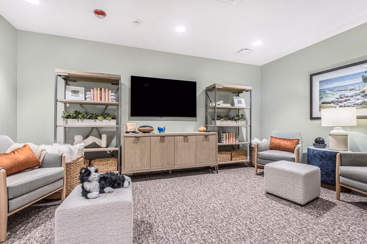 A cozy living room with light green walls, a wall-mounted flat-screen TV, two wooden shelves with decorative items and plants, a wooden cabinet below the TV, three gray armchairs with orange cushions, a small blue side table with a lamp, two gray ottomans, and a plush black and white stuffed dog on one ottoman. A framed landscape painting hangs on the right wall.